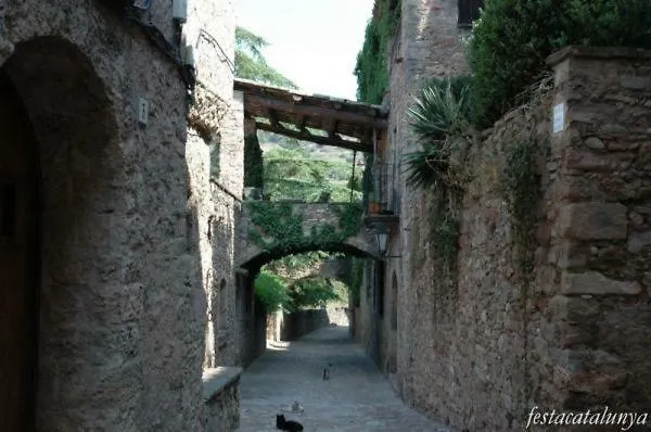 Casa de Campo Cal Vidal *